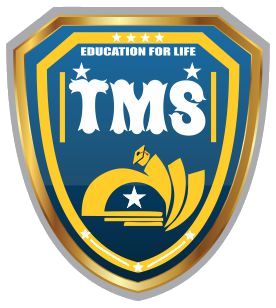 The Mentor School original logo